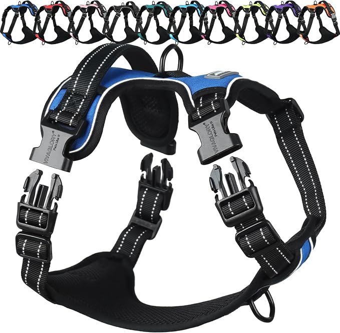 VIVAGLORY No Pull Dog Harness Vest Harness, S, Royal Blue - Plain | with Handle Front and Back Clip for Training & Pulling, No Pull & Escape Proof Padded Adjustable for Pet Puppy