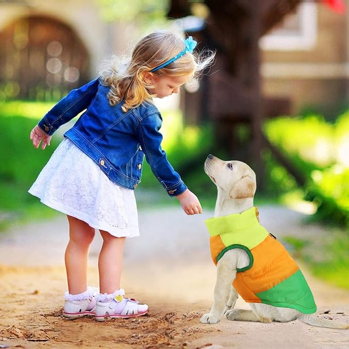 Idepet Pet Dog Cat Coat with Leash Anchor Color Patchwork Padded Puppy Vest Jacket Teddy Chihuahua Costumes Pug Cloth XS S M L (Large (Pack of 1), Green)