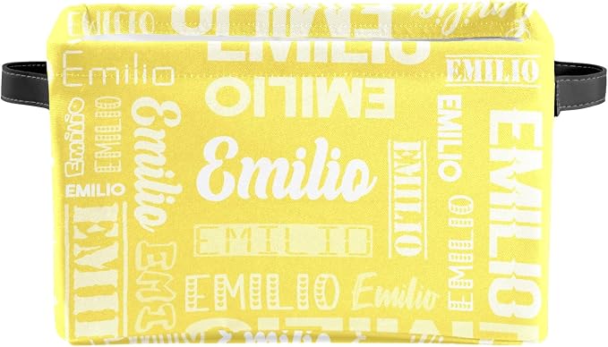 Personalized Toy Box Storage Bins for Boys Girls with Name, Kids Custom Storage Basket Cubes Organizer with Handles, Shelf Closet Storage Baskets Bin Customized Gift, 1 Pack