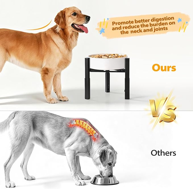 Adjustable Raised Dog Bowl Stand, Metal Elevated Feeding Station for Dogs, Without Bowls