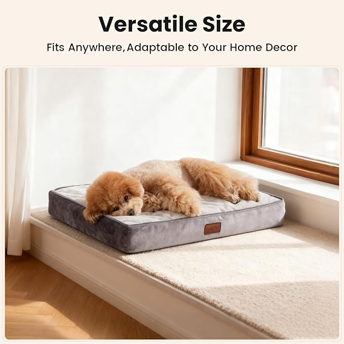 OhGeni Orthopedic Waterproof Small Dog Bed, Memory Foam, 24 inch(Gray) | Machine-Washable Removable Cover in Easy-Clean Fabric, Reversible Memory Foam & Easy-Carry Handle, Suitable for Crate