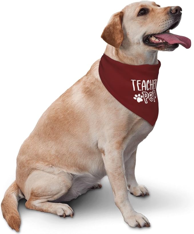 Teacher's Pet Dog Bandana,Funny Bandana Gift,Photo Prop Accessories for Dog Lovers Owner Gift,Triangle Reversible Fall Scarf, Adjustable (Red)