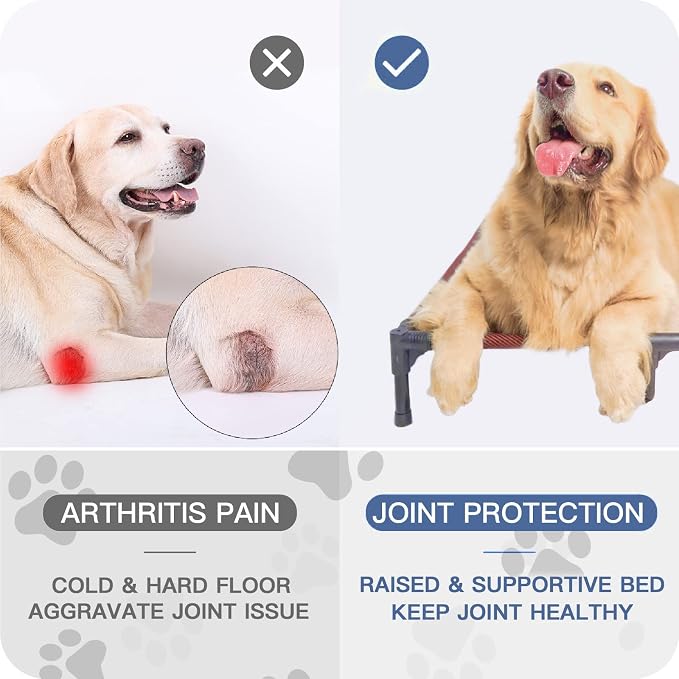 Elevated Dogs Bed Waterproof Outdoor, Portable Raised Dog Bed, Dog Beds Off the Floor, Dogs Bed Easy Clean Indoor or Outdoor Use, X-Large, Blue