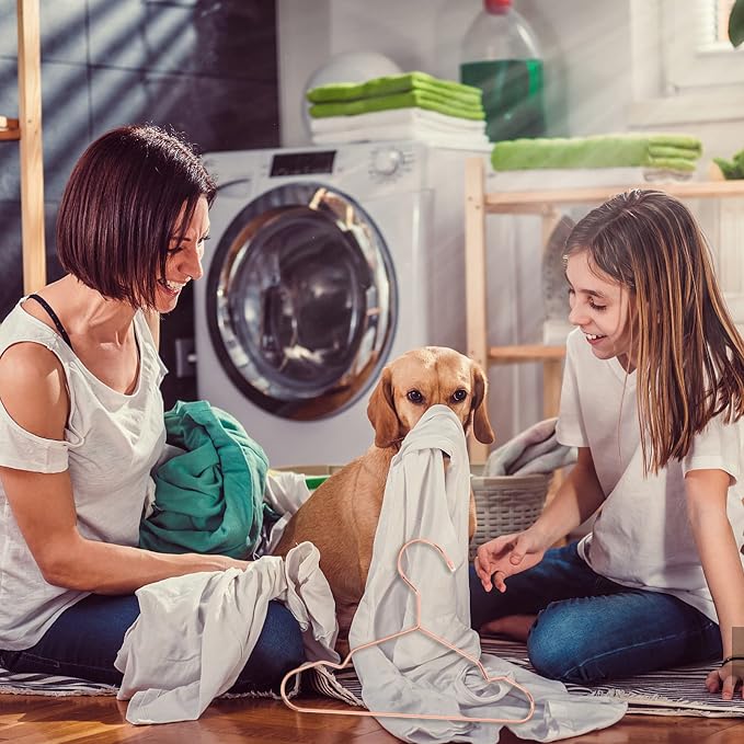 3pcs Pet Hanger Pet Apparel Hangers Dog Clothing Hanging Rack Dog Clothing Hanger Clothes Hangers Cloth Iron Storage Clothes Organizer Cat Cloth