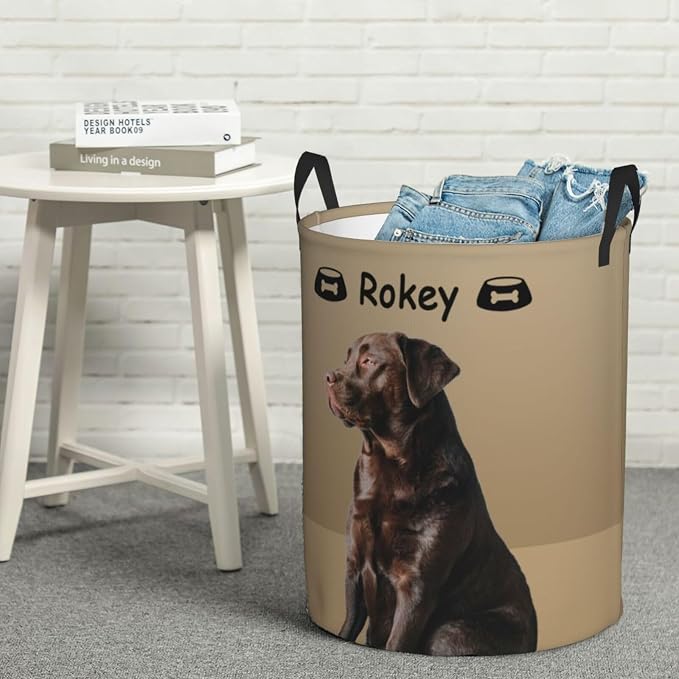 Personalized Large Dog Toy Storage Basket Bin Collapsible Custom Pet Stuff Box Chest Container for Living Room Organizer for Dog Toys,Dog Food,Blankets,Clothing (Latte)