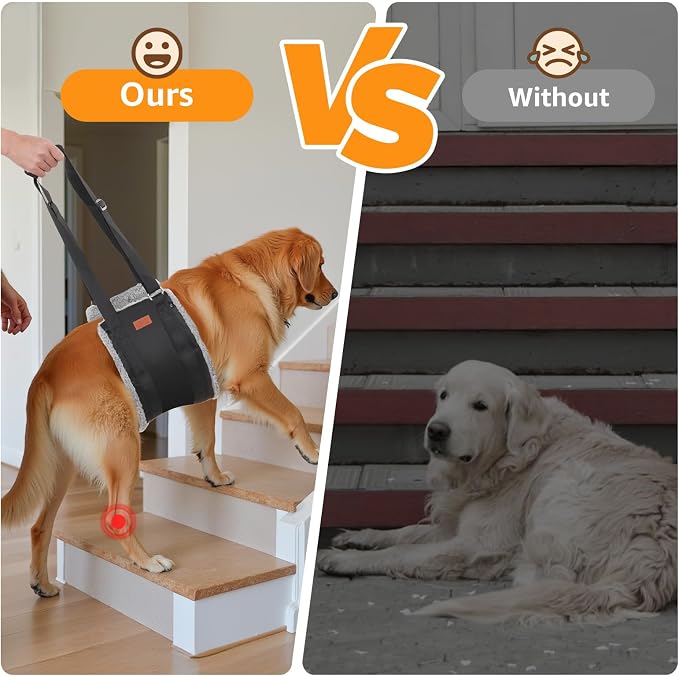 Adjustable Dog Sling for Extra Large Dogs Mobility Aid for Weak Rear Legs | Sturdy Support, Helps Seniors, Injured, Disabled and After ACL Surgery Dogs, Saves Your Back, Soft Padding, Daily Walk/Stairs