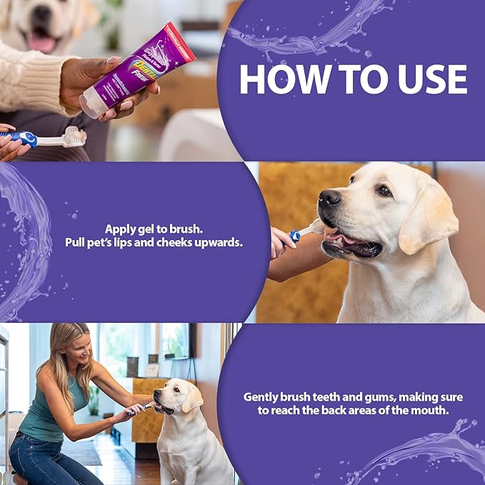 Dental Fresh Enzymatic Gel for Dogs, Dog Toothpaste – Dog Essentials for Dog Teeth Cleaning