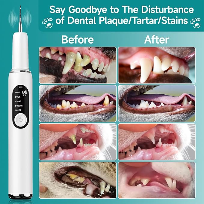 Dog Teeth Cleaning Kit Dog Plaque and Tartar Remover with LED Light 5 Adjustable Modes Electric Toothbrush Pet Teeth Cleaner for Dogs and Cats (White)