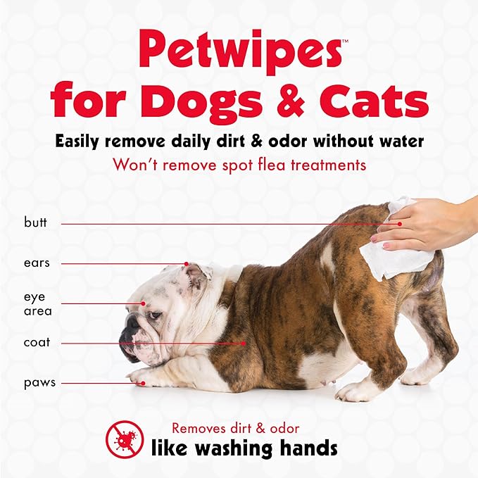 Petkin Pet Wipes for Dogs & Cats - 200 Large Wipes - Removes Dirt & Odor - Cleans Ears, Face, Butt, Eye Area - Convenient for Home or Travel - 2 Packs.
