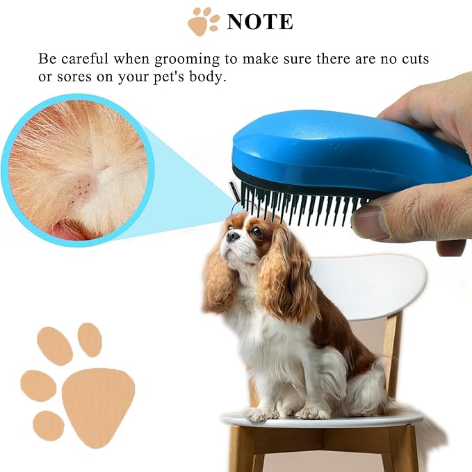 Small Dog Brush, Soft Pet Grooming Brush for Shih Tzus, Yorkies, Maltipoos, Maltese, Puppy Massaging Hair Brush, Cat Brush, for Small Animals Rabbits of All Hair Types (Starry Sky Blue)