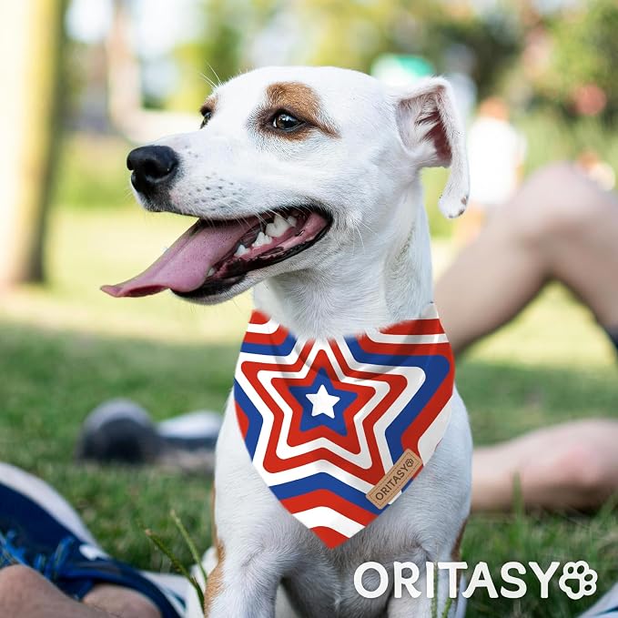 US Flag Dog Bandanas, 2-Pack Triangle Reversible Pet Scarves, Premium Fabric, 4th of July Bandana for All Boys Girls Dogs (Large, 26-Style 3)