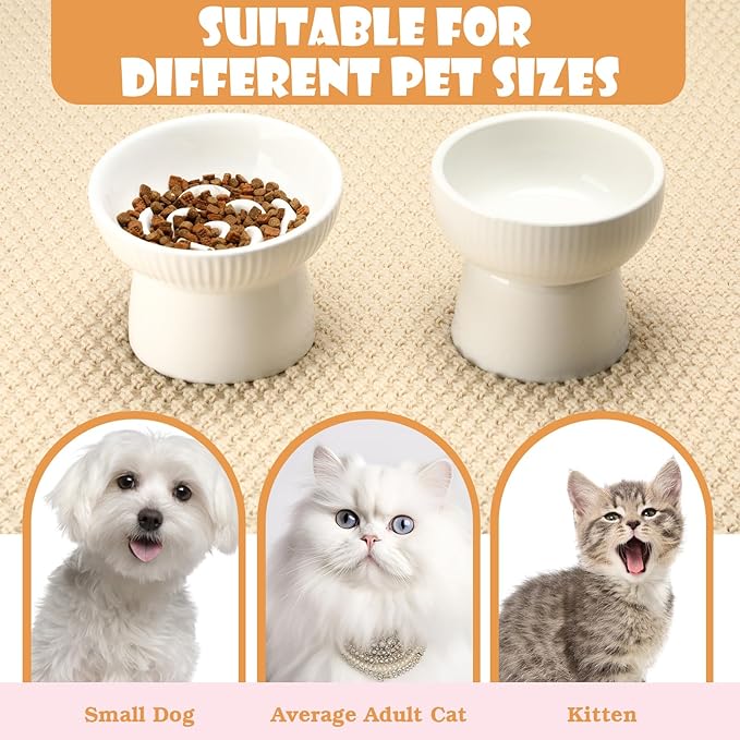 2 Pcs Cat Slow Feeder Bowl, Raised Ceramic Cat Slow Feeder Bowl, Elevated Cats Dog Food Bowls High Edge, Anti Vomiting for Pets Kitten Puppies Dry Wet Food and Water, Dishwasher Safe