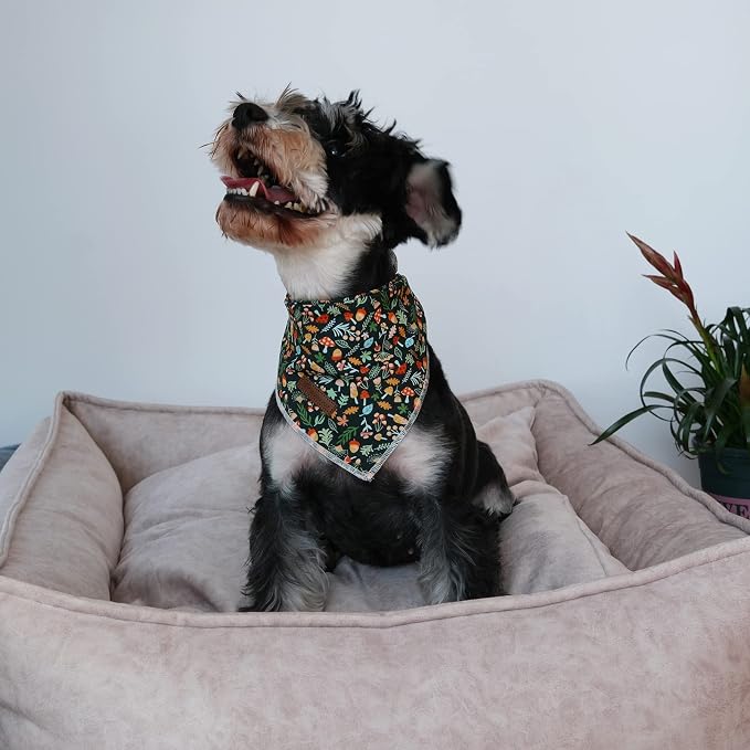 Fall Dog Bandana, UP URARA PUP Puppy Bandana for Small,Medium Dog, Comfortable Cotton Triangle Bid Scarf Dog, Pet Kerchief for Girl Boy Dogs or Cats, Fancy Fall Classic Dog Bid Scarf