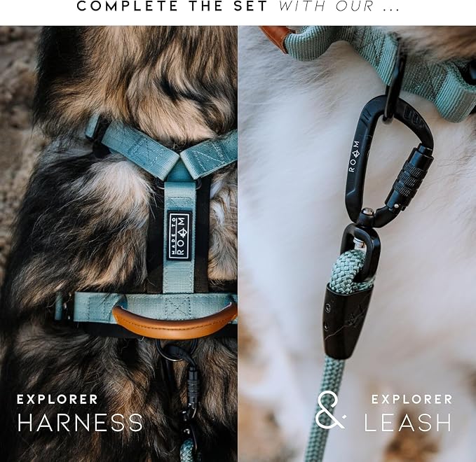 MADE TO ROAM Explorer Dog Collar | Heavy Duty Nylon & Durable Metal Buckle | Premium adjustable collar with rust-resistant hardware. Fits small to large dogs. 15 colors. Matching leash & harness