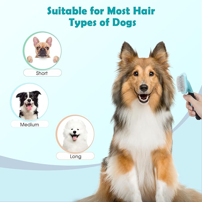 Slicker Brush, Dog Brush Gently Cleaning Pin Brush For Shedding Dog Hair Brush For Small Dogs Puppy Yorkie Poodle Rabbits Cats One Size Blue