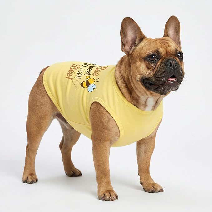 Fitwarm Bee the Best You Can Dog Shirt, Summer Clothes for Small Dogs Boy Girl, Funny Pet Outfit, Yellow, Brown, Blue, XS