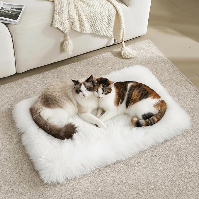 Fluffy Cat Bed Mat 19.6"x31.4" Furry Small Dog Cats Cushions for Indoor | White Faux Fur Fuzzy Puppy Pads for Pet Sleep