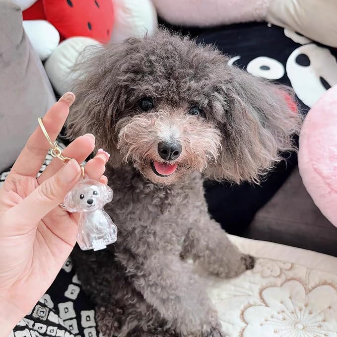 Cute Dog Hair Keychain Transparent Pet Fur Keepsake with Tweezer | Portable Dog Fur Keychain DIY Pet Hair Memorial Keepsake Dogs Hairs Collector Charm Storage Box, Dogs Lover Collecting Gifts