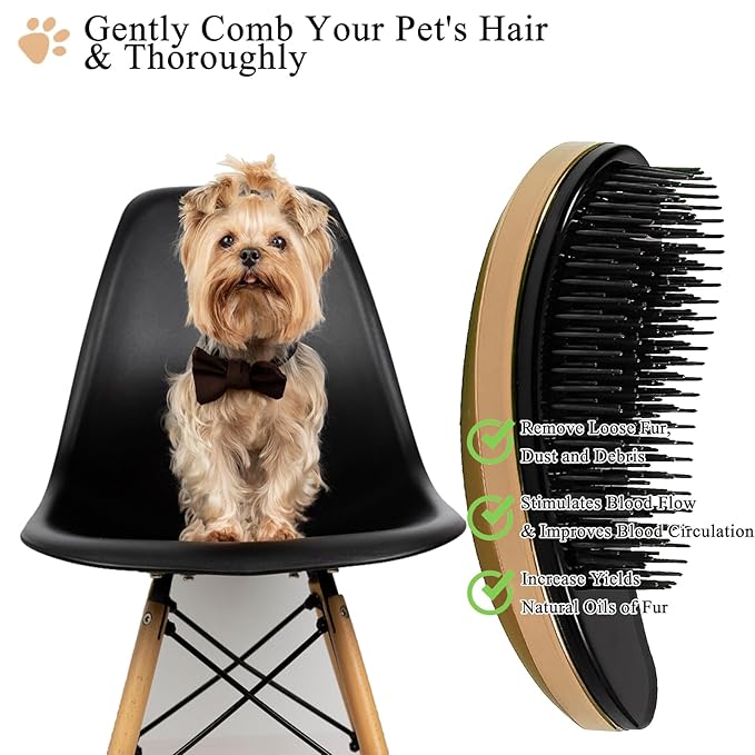 Small Dog Brush, Soft Pet Grooming Brush for Shih Tzus, Yorkies, Maltipoos, Maltese, Puppy Massaging Hair Brush, Cat Brush, for Small Animals Rabbits of All Hair Types (Golden)
