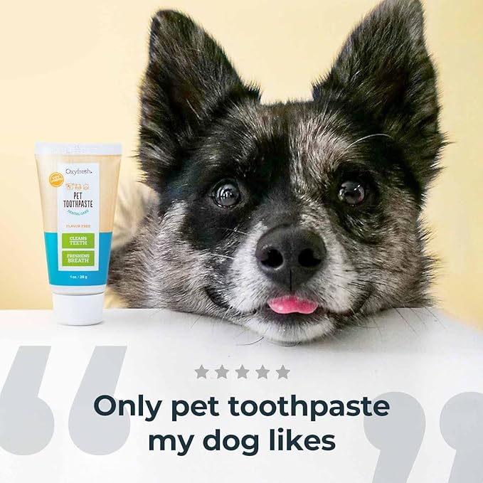 Oxyfresh Cat & Dog Toothpaste, Teeth Cleaning Gel for Plaque, Tartar & Bad Breath, Vet-Approved Pet Dental Care, 1 oz