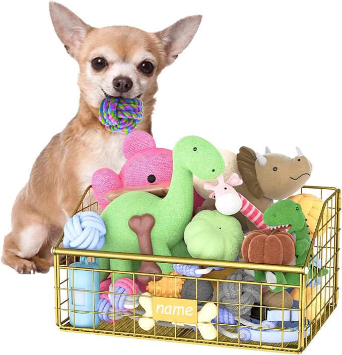 Kaiferty Indestructible Dog Toy basket, Small Toy Box for Dogs, Pet Toy Bin Dog Metal Basket for Toys, Toy Storage Organizer, Cat Toy Box for Living Room Area(Gold)