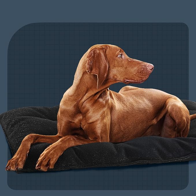 Dog Bed, Indestructible Chew Proof Pet Bed Mat, Durable Polyester, Large 35x22 inches, Black, for Aggressive Chewers, Crate Pad, Machine Washable