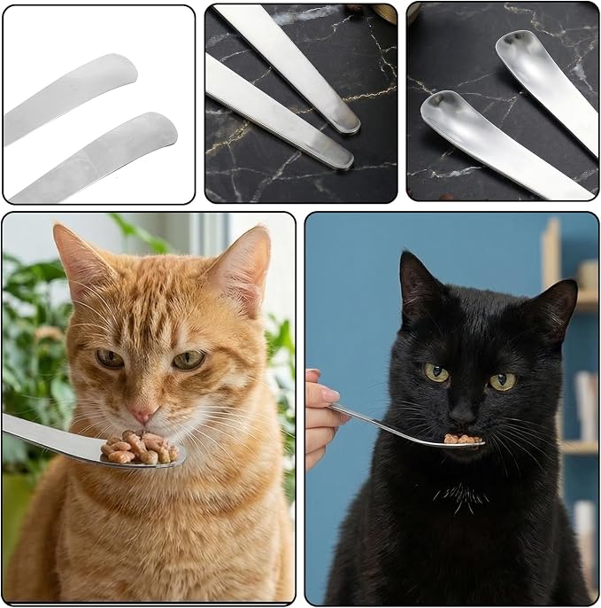 4 Pcs Dog Cat Spoon Pet Food Can Spoon Wet Food Storage Stainless Steel Can Scoop Long Handle Foods Scoop Feeder Portable Pet Feeding Spoons for Wet Foods and Cans