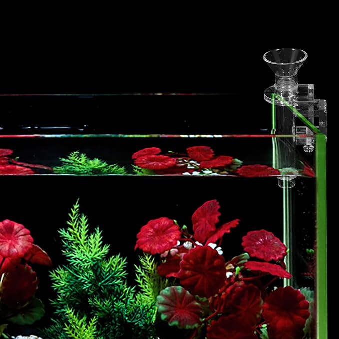 Abaodam Acrylic Shrimp Feeder Tube 10cm Wall-Mounted Aquarium Fish Tank Feeding Tool for Shrimp and Small Fish Aquarium Supplies