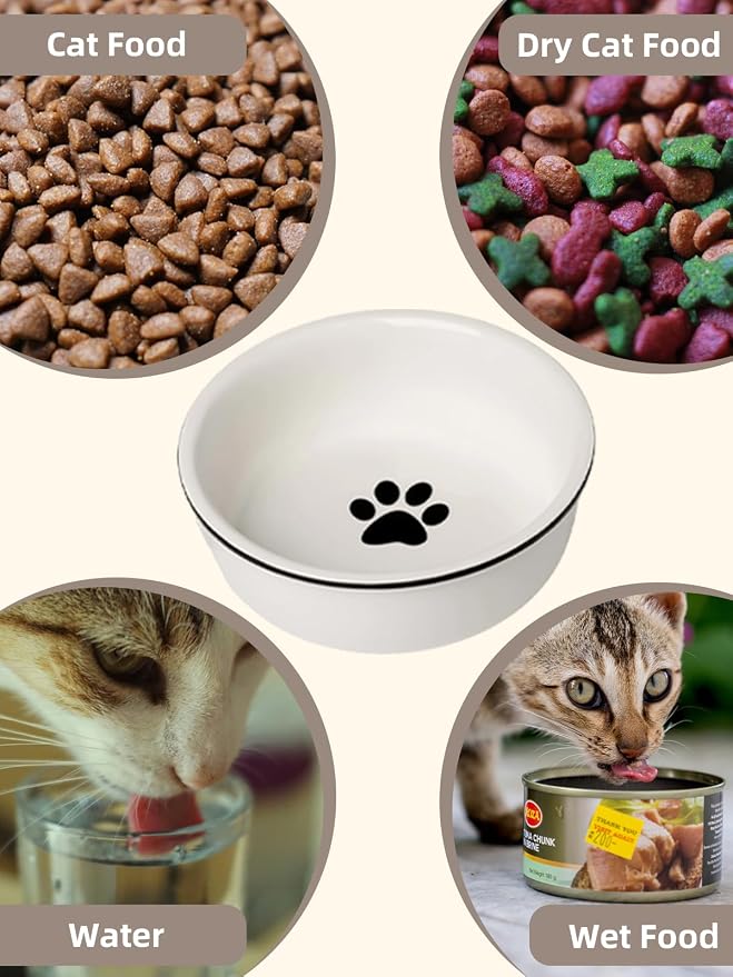GDCZ Ceramics Raised Cat Bowls with Heighten Metal Stand,15 Ounces White
