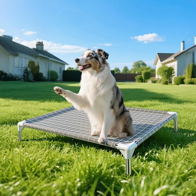 Elevated Dog Bed Pet Cot - Raised Dog Cots Beds for Medium Dogs | Detachable Dog Pet Bed, Indoor and Outdoor Use, Breathable cotton fabric, Sturdy Stainless steel frame,Non-Slip Feet