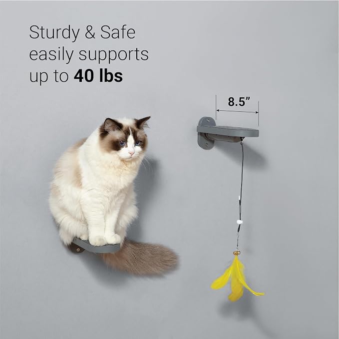 Cat Wall Steps (2-Pack), Climbing Stairs with Replaceable Felt Pad, Cat Shelves with Toy, Dark Grey