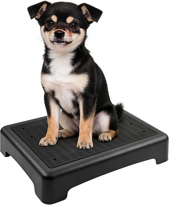 Dog Training Place Board with Non-Skid Surface, Dog Platform for Training, Portable Dog Agility Platform, Dog Training Stand, Dog Training Equipment Suitable for Small Dogs, 17x13x3.14Inch