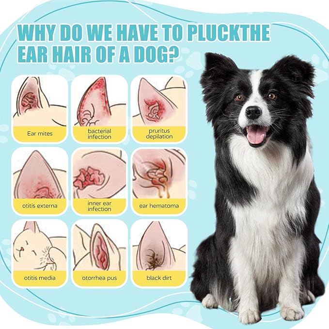 Advanced Pet Ear Powder with Professional 5" Hair Puller, Ideal as Ear Powder for Dogs Plucking, Dog Ear Powder for Hair Removal, Keeps Canal Dry, Clears Wax & Odor, Calms Itchy Ears