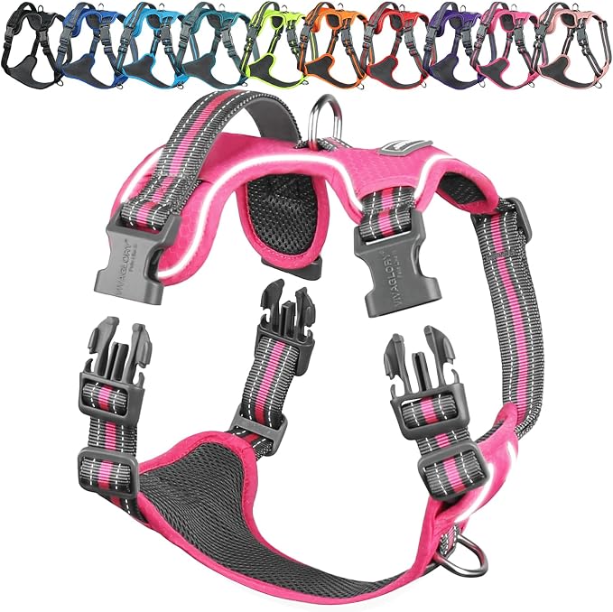 VIVAGLORY No Pull Dog Harness Vest Harness, M, Pink - Patterned | with Handle Front and Back Clip for Training & Pulling, No Pull & Escape Proof Padded Adjustable for Pet Puppy