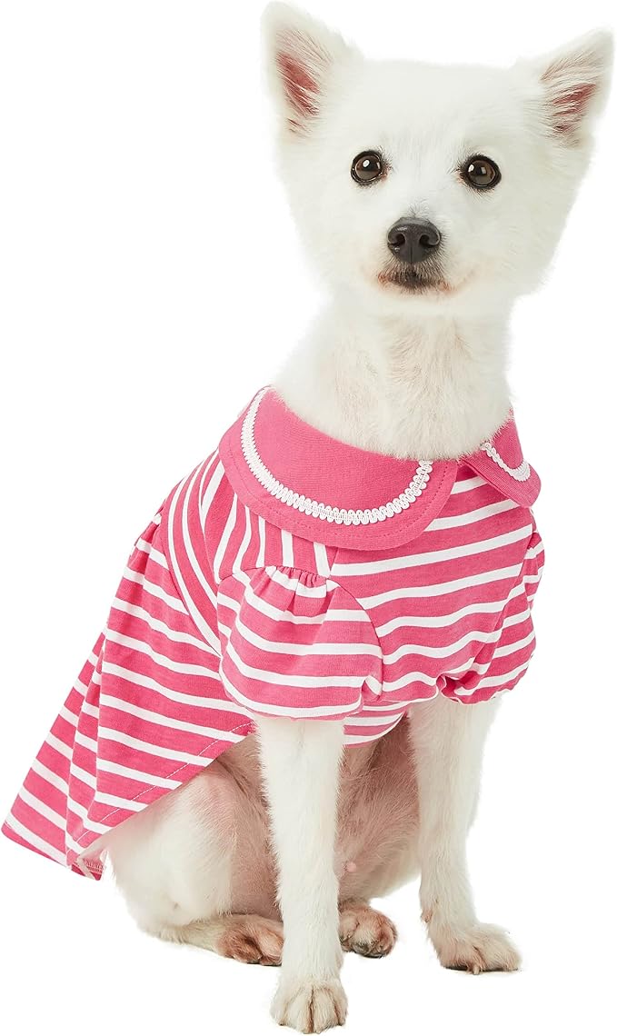 Blueberry Pet Sea Lover Rose Pink Striped Cotton Blend Dog Dress with Bowtie, Back Length 10", Pack of 1 Clothes for Dogs