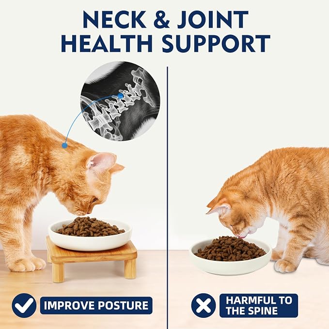 DoogCat Raised Cat Bowl, Elevated Cat Bowls with Bamboo Stand, Set of 2 | Premium Ceramic Bowls, Adjustable Height, Whisker-Friendly Design, Elevated Feeding, Easy to Clean