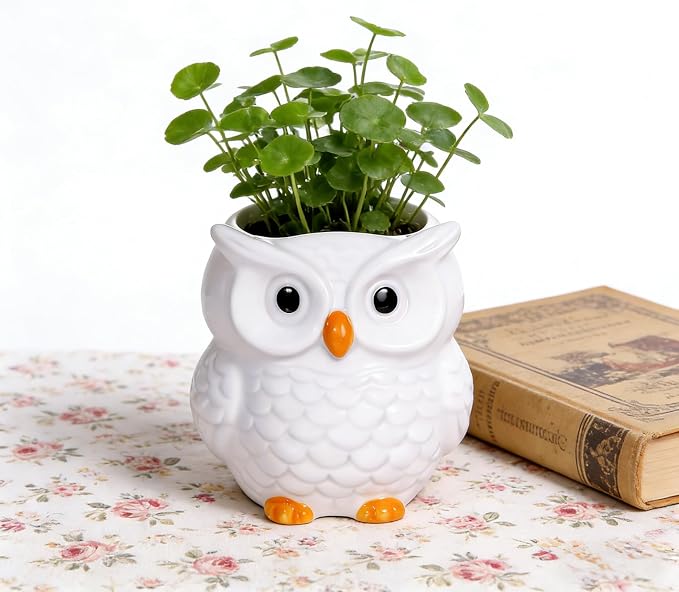 Ceramic Owl Shaped Pen Pencil Holder for Desk Decoration Accessories Owl Decor Makeup Brush Pen Cups Succulent Plant Pot Office School Ideal Gifts for Women, Mom or Birthdays