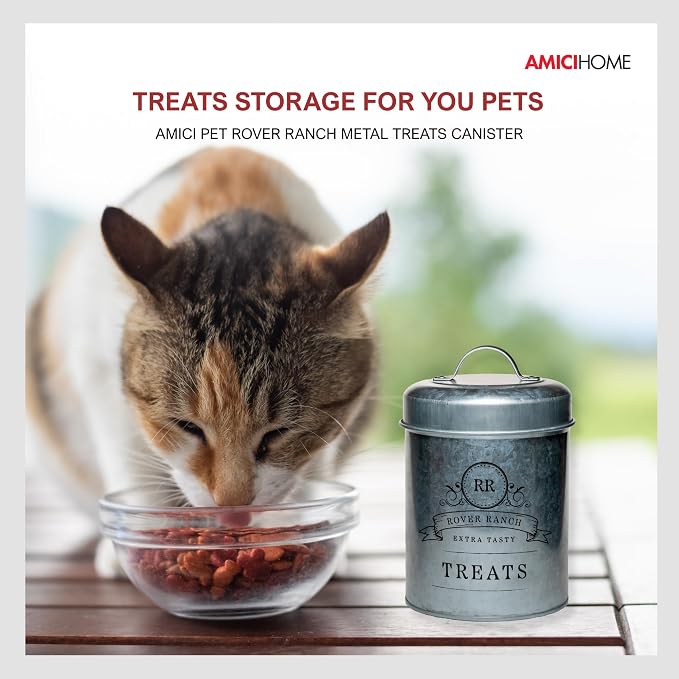 Amici Home Rover Ranch Metal Pet Treat Canister, 64 Oz - Silver | Airtight Treat Storage Jar with Silicone Gasket, Wide Mouth, Lid Handle, Pet Snack Container for Biscuits & Training Bites