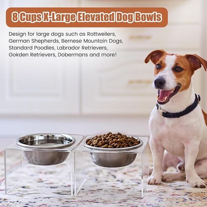 Ziliny 2 Set Acrylic Elevated Dog Bowls Stand 6.3" Tall Pet Acrylic Feeder Come with 2 Removable Stainless Steel Bowls for Large Dogs, Raised Durable Dog Bowl Pet Feeding Station