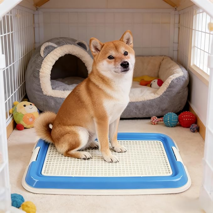 Dog Potty Tray for Small Dogs, Puppy Potty Training Tray 19.7"x14.6" Indoor Dog Toilet, Leak-Proof Pet Pads Holder (Blue)