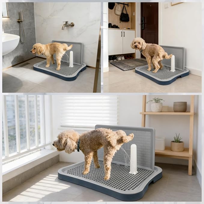Dog Pee Pad Holder with Pee Pads, 20.1"x15.6"X1.4" Indoor Dog Potty Pad with Splash Guard for Puppy and Small Dogs, Housebreaking Supplies, Pet Products (Blue)