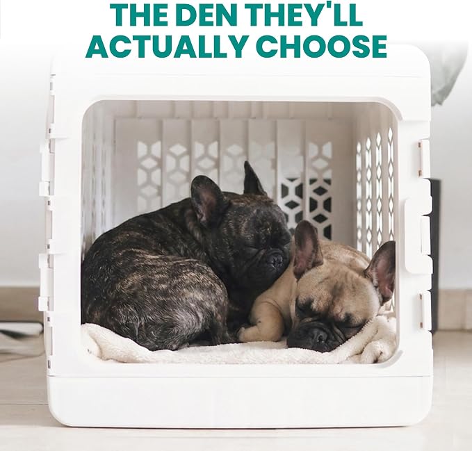 PAWD Collapsible Dog Crate, Portable Indoor Outdoor Kennel for Dogs 15–25 lbs, French Bulldog, Dachshund, Maltese, Pomeranian, Medium, 26" L x 20" W x 21" H, 12 lbs, White