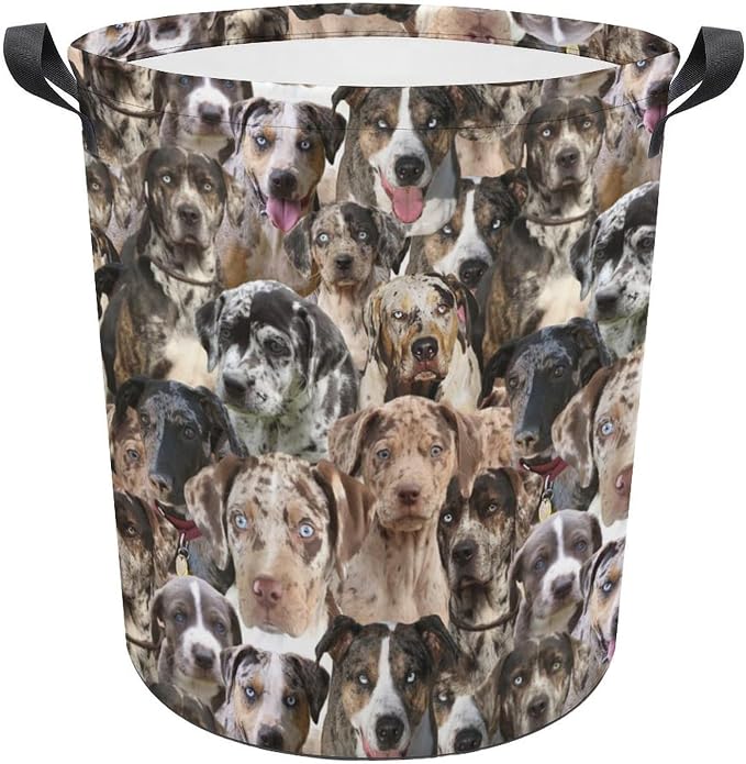 Funny Catahoula Leopard Laundry Basket Laundry Hamper, Foldable Waterproof Pet Catahoula Leopard Clothes Storage Bucket Organizer For Bathroom Bedroom, Catahoula Leopard Lover Gifts