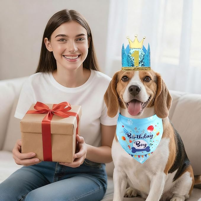 Rensh Dog Birthday Party Supplies, Dog Birthday Bandana Hat with Numbers for X-Large Large Small Pets, Multi Size Birthday Decorations for Dogs and Cats (Blue, Large)