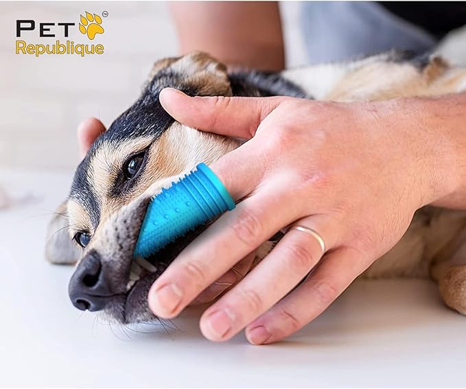 Pet Republique 360 Degree Finger Toothbrush for Dogs and Cats – Full Surround Silicone Bristles (3-Count & 1-Storage Case)