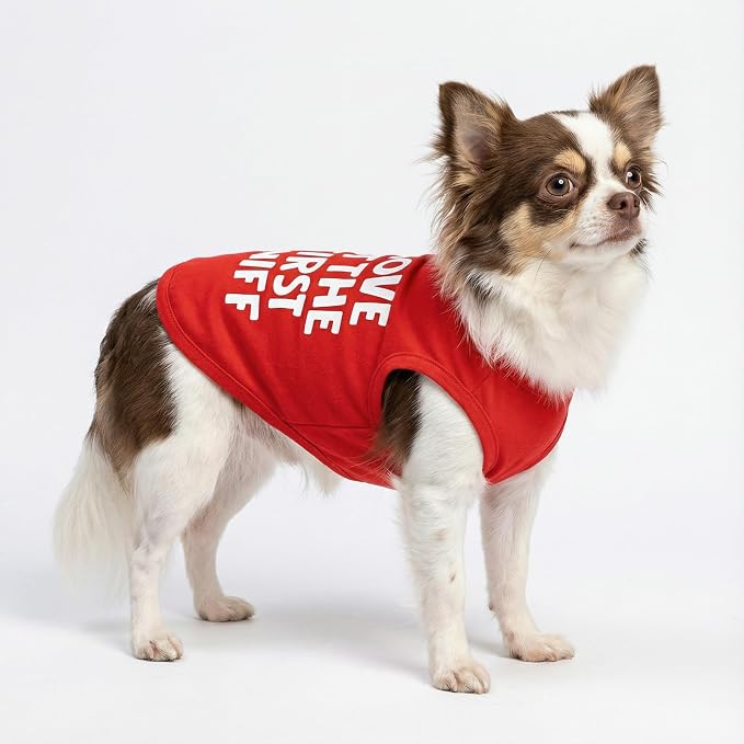 Fitwarm Love at The First Sniff Shirt, Valentines Outfit, Summer Clothes for Small Dogs Boy Girl, Funny Tshirt, Lightweight Breathable Cotton, Pet Cat Outfit, Red, XL
