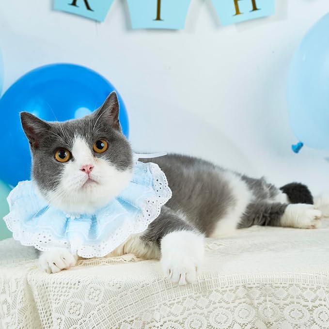 Cat Princess Costumes Cat Crown Hat & Lace Bandana Scarf Set, Puppy Party Hat for Small Dogs & Cats, Lace Outfit for Cats and Small Dogs Birthday Party (Blue)
