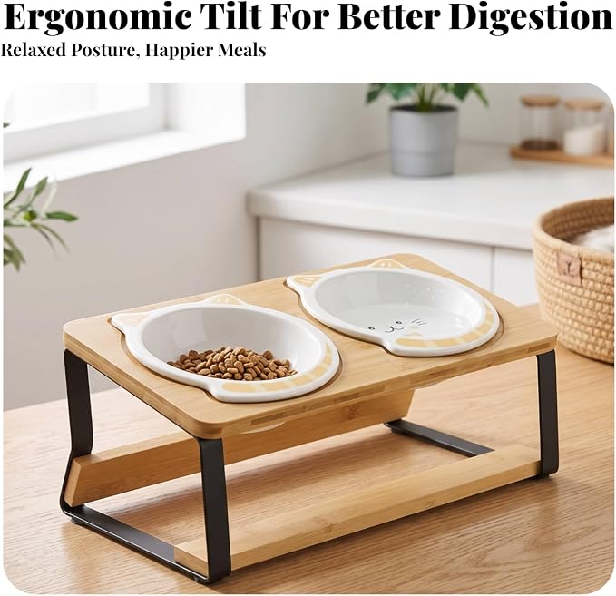 Cat Bowl Stand Elevated Feeder Raised Holder Double Dish Organizer Bamboo Wood and Iron Slanted Feeding Board with Two Round Slots Suitable for Cats