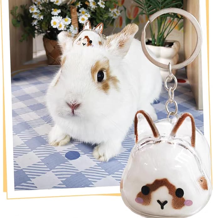 Rabbit Hair Keychain Transparent Pet Fur Keepsake with Tweezer | Portable Rabbit Fur Keychain DIY Pet Hair Memorial Keepsake Bunny Hairs Collector Charm Storage Box, Rabbits Lover Gifts