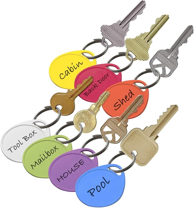 Lucky Line 1-1/4" Label It Plastic Tag, 100 Pack, Assorted Colors (25075)